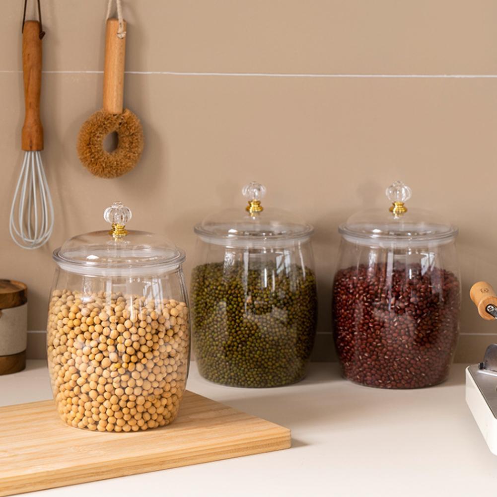 Large Transparent Plastic Seal - Food Storage With Lids recension och pris