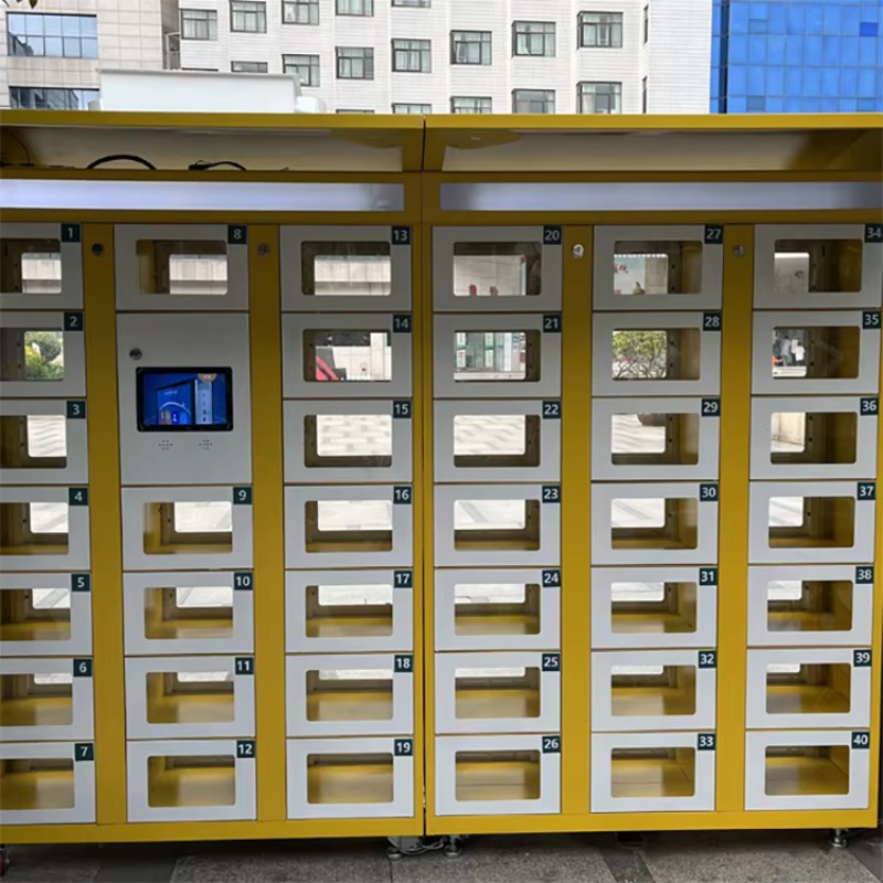 Custom Double Sided Locker Ele - Food Storage With Lock recension och pris