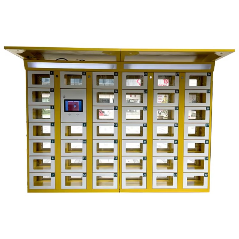 Custom Double Sided Locker Ele - Food Storage With Lock recension och pris
